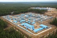 Нефтегазовая компания